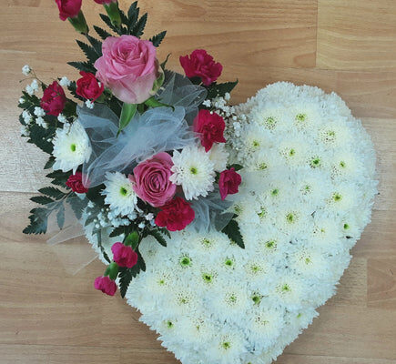 20230804_130127_480x480