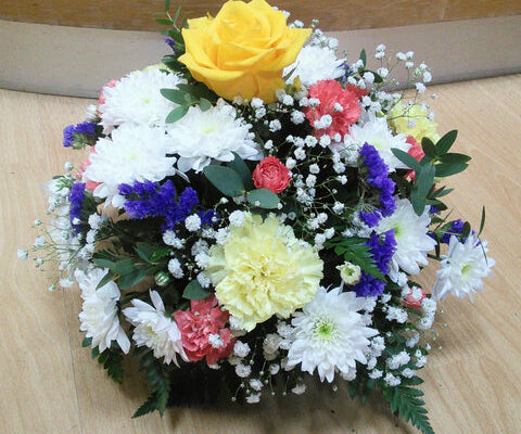 IMG_20210305_095825_e4e8bb6a-2600-4620-93ad-e192750cd4a1_480x480